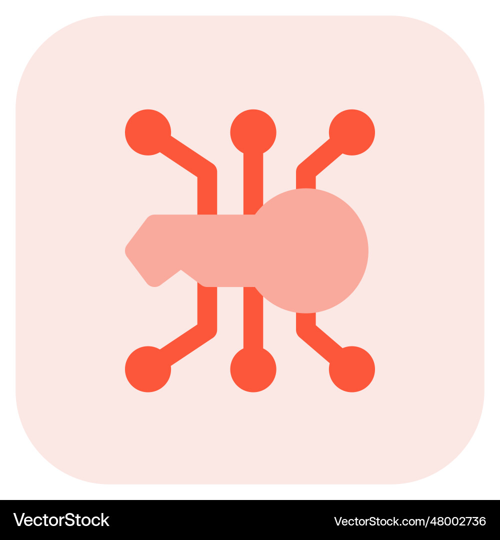 Use of key in encryption software Vector Image