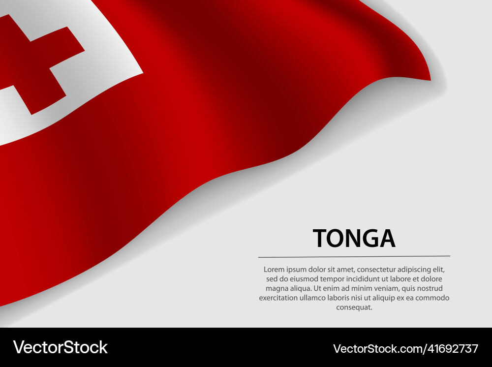 Tonga Flag on White Banner vector image