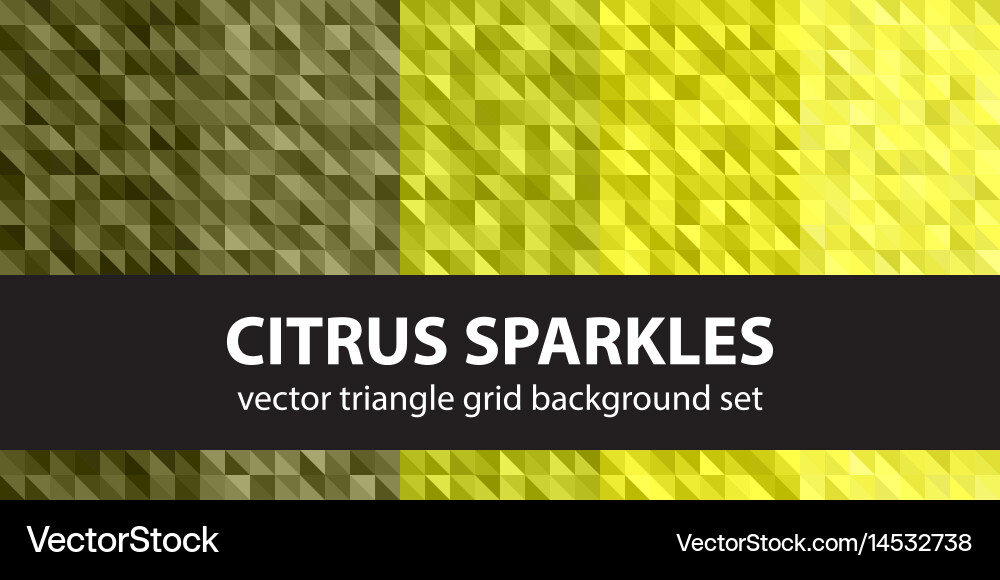 Triangle pattern set citrus sparkles seamless vector image