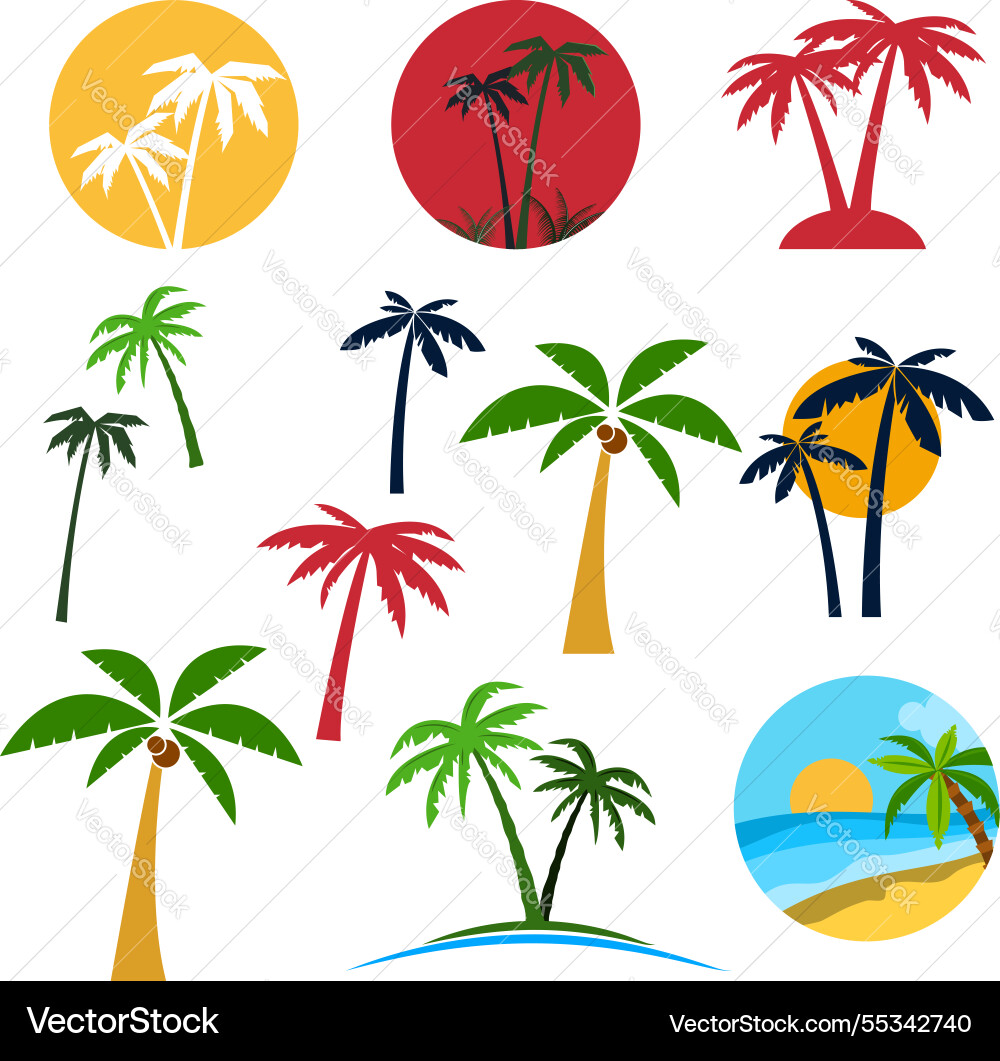 Set of palm tree labels and design elements Set of palm tree labels and design elements vector image