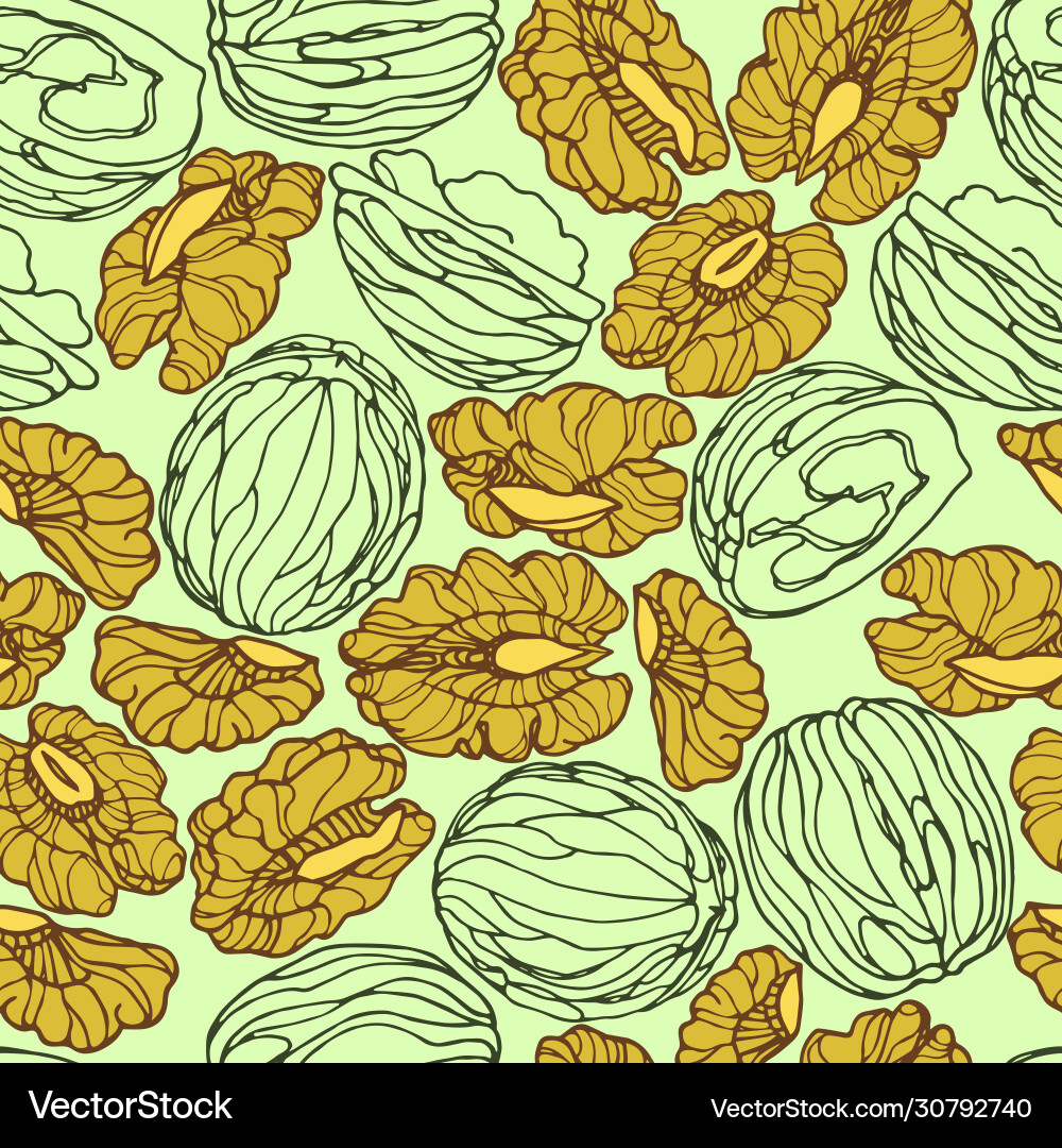 Walnut Kernels Seamless Pattern vector image