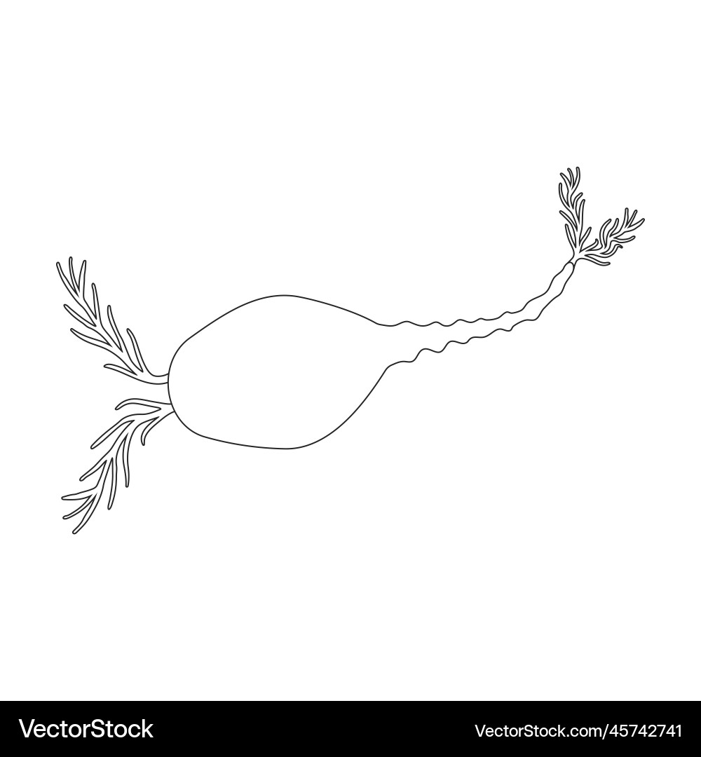 Plankton iconoutline logo isolated Plankton iconoutline logo isolated vector image