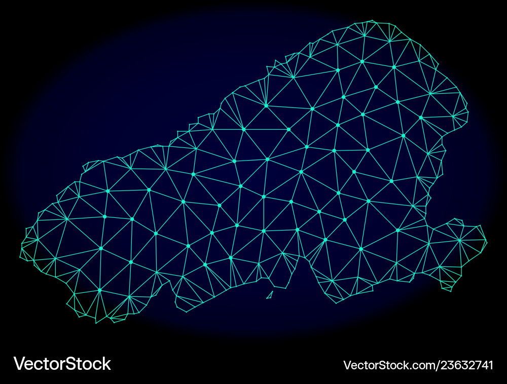 Polygonal network mesh abstract map Vector Image