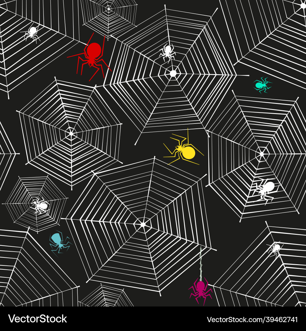 Spooky Spiderweb Pattern vector image