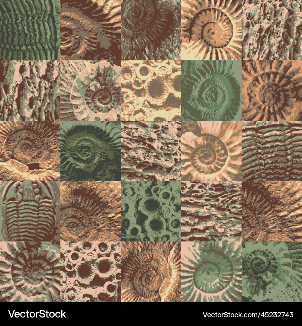 Ancient Seashell Pattern vector image