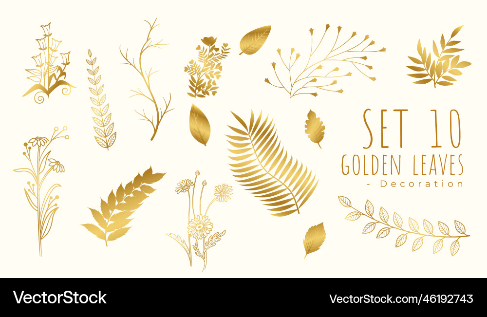 Beautiful tropical golden leaves background in set Vector Image