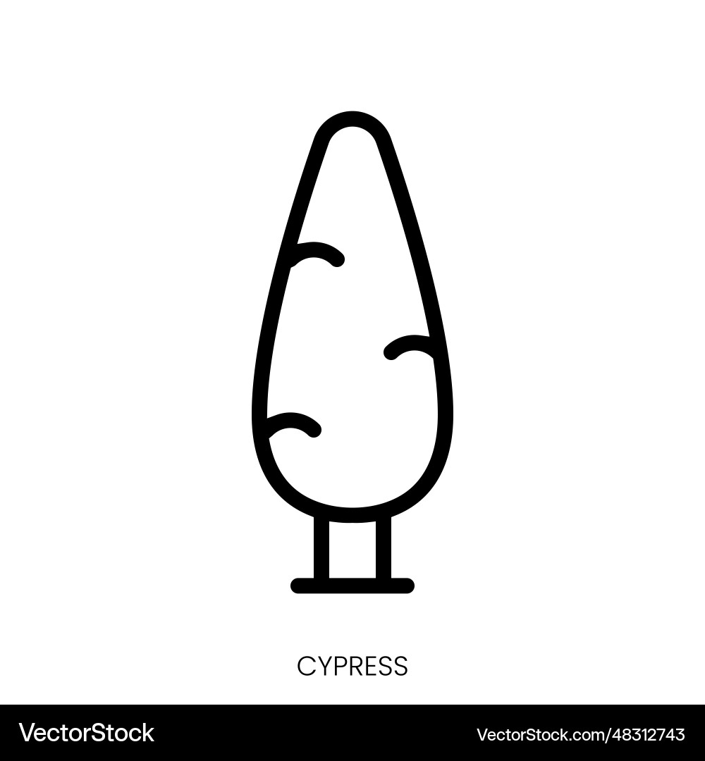 Cypress icon line art style design isolated Cypress icon line art style design isolated vector image