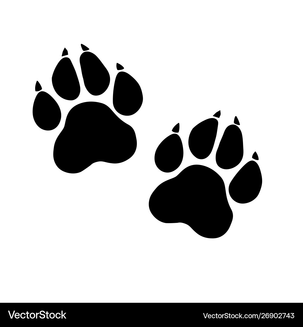 Paw prints logo isolated Paw prints logo isolated vector image