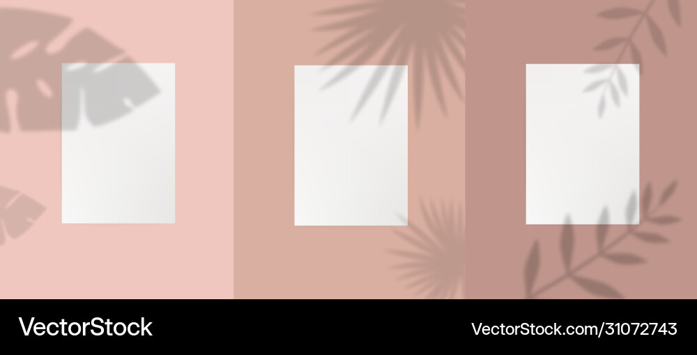 Set empty white a4 paper template sheet Vector Image