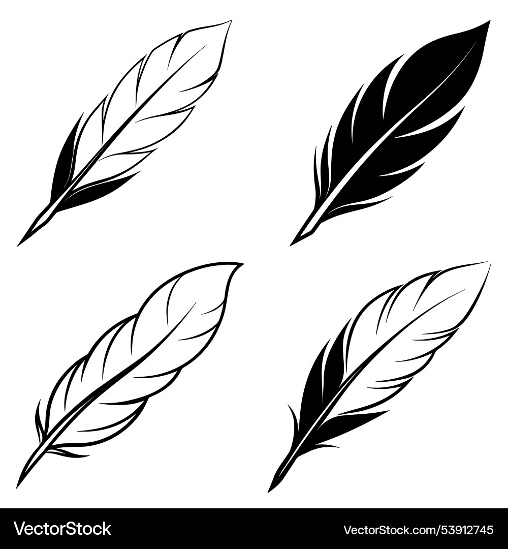 3d rendering of dynamic feather silhouette line ar vector image