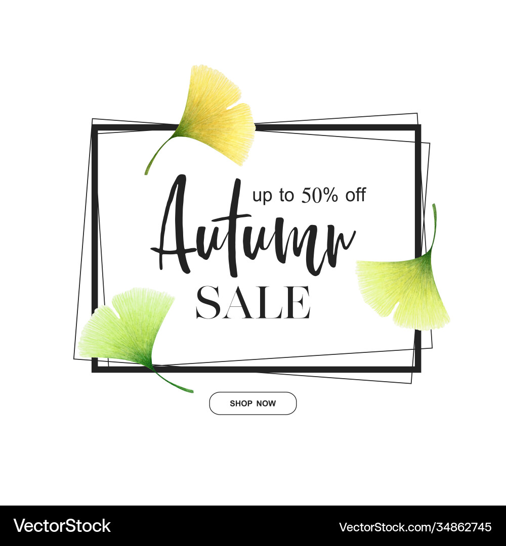 Autumn sale banner with watercolor ginkgo leaves Autumn sale banner with watercolor ginkgo leaves vector image
