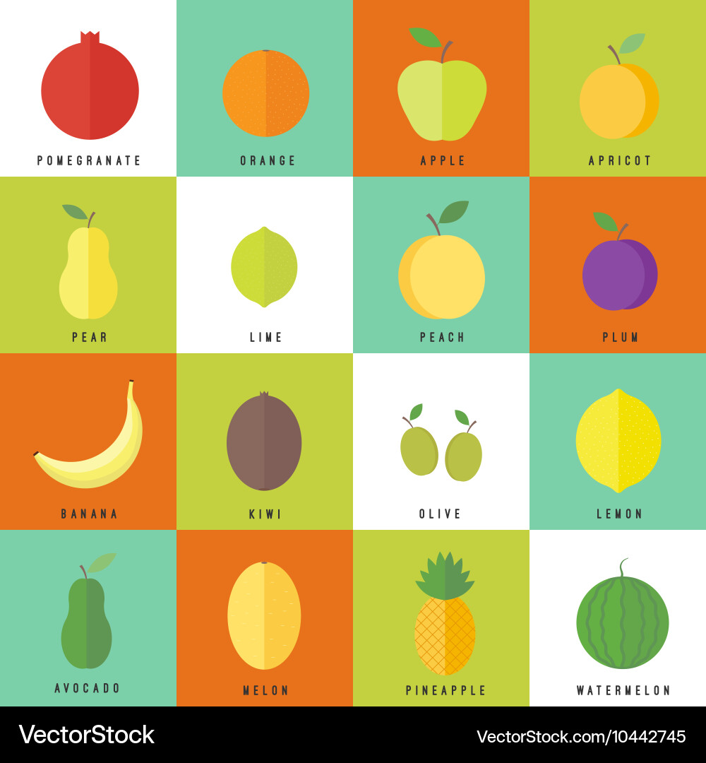 Flat elements for web design fruits vector image