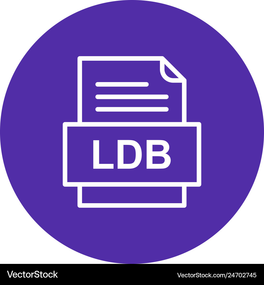 Ldb file document icon Vector Image