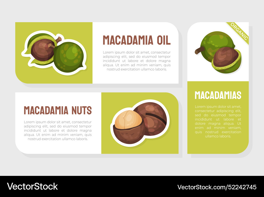 Macadamia nut product label with kernel and shell Macadamia nut product label with kernel and shell vector image