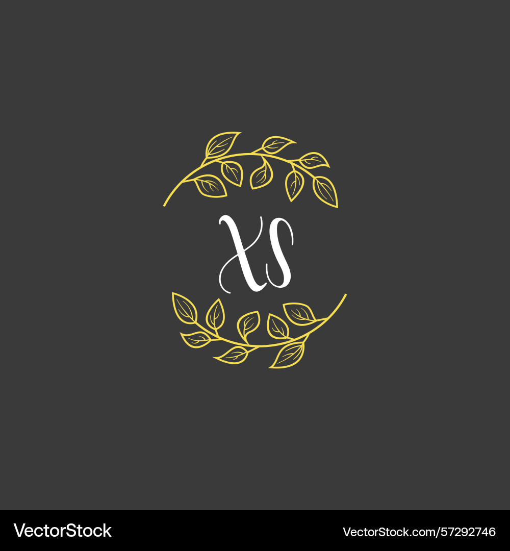 Botanical monogram logos with initial xs Vector Image