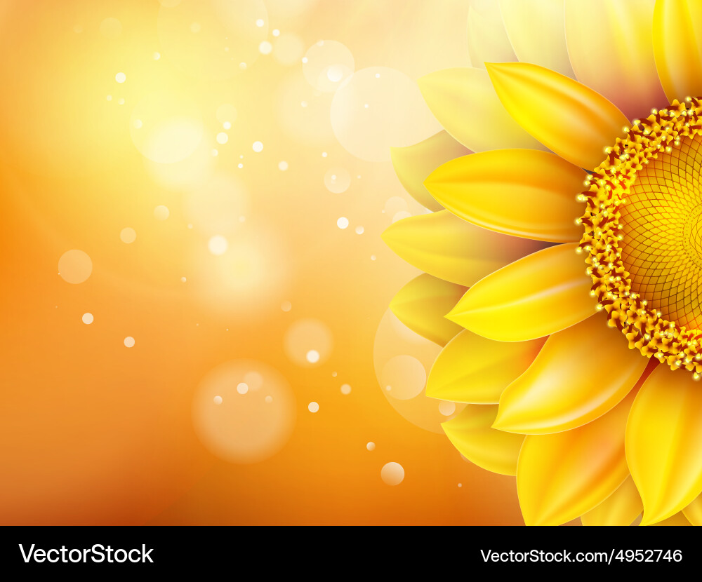 Macro Sunflower Bokeh Background Vector Image