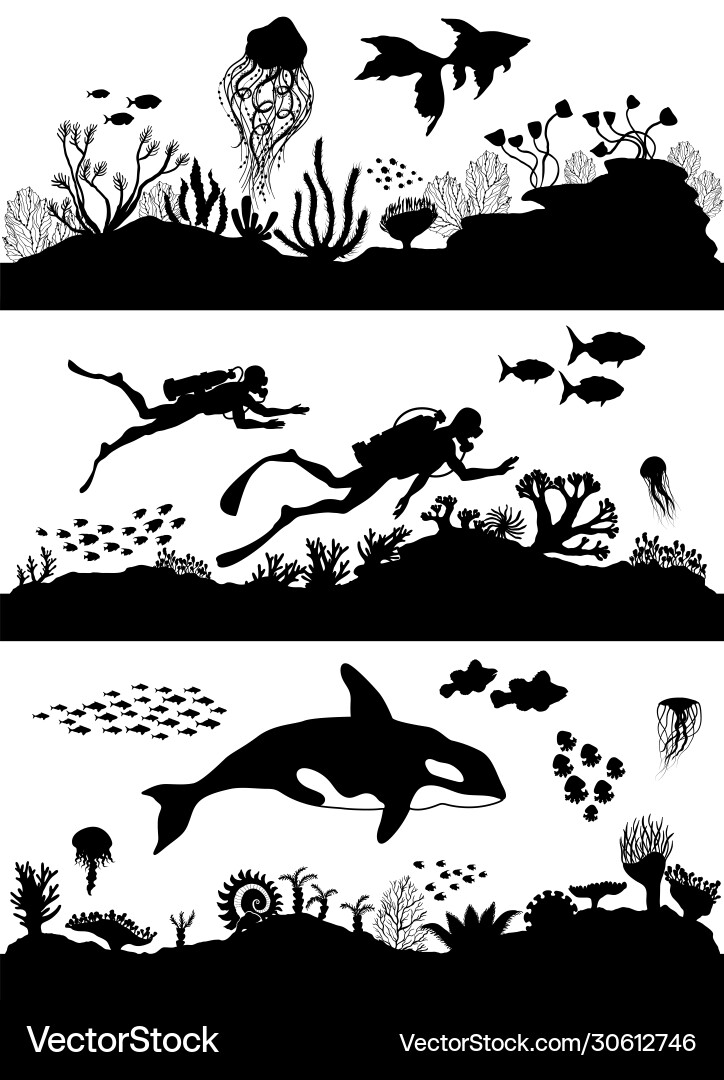 Oceanic Coral Reef Silhouette Vector Image