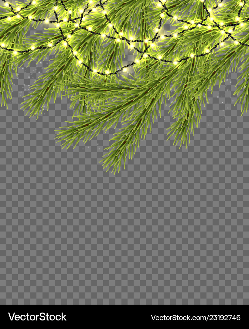 Seamless border with realistic firtree sparkling Seamless border with realistic firtree sparkling vector image