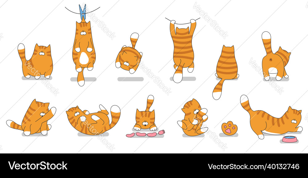 Set Cartoon niedliche Katzen Katze lustigen Charakter Set Cartoon niedliche Katzen Katze lustigen Charakter vektorbild