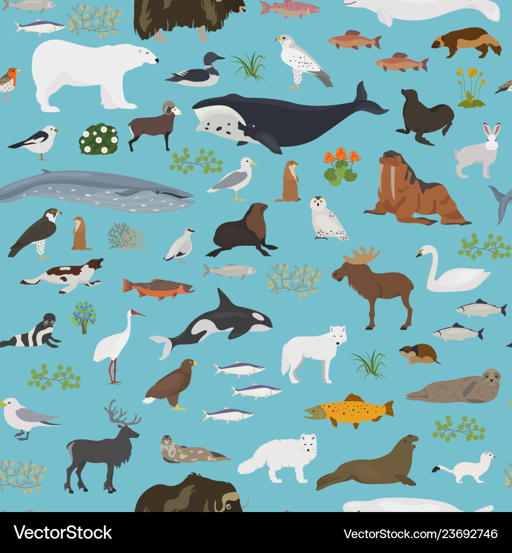 Tundra biome terrestrial ecosystem world map Tundra biome terrestrial ecosystem world map vector image