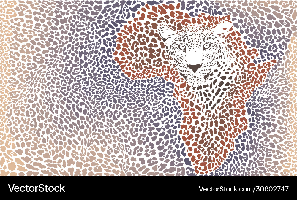 Pattern seamless leopard fur and face with map vector image