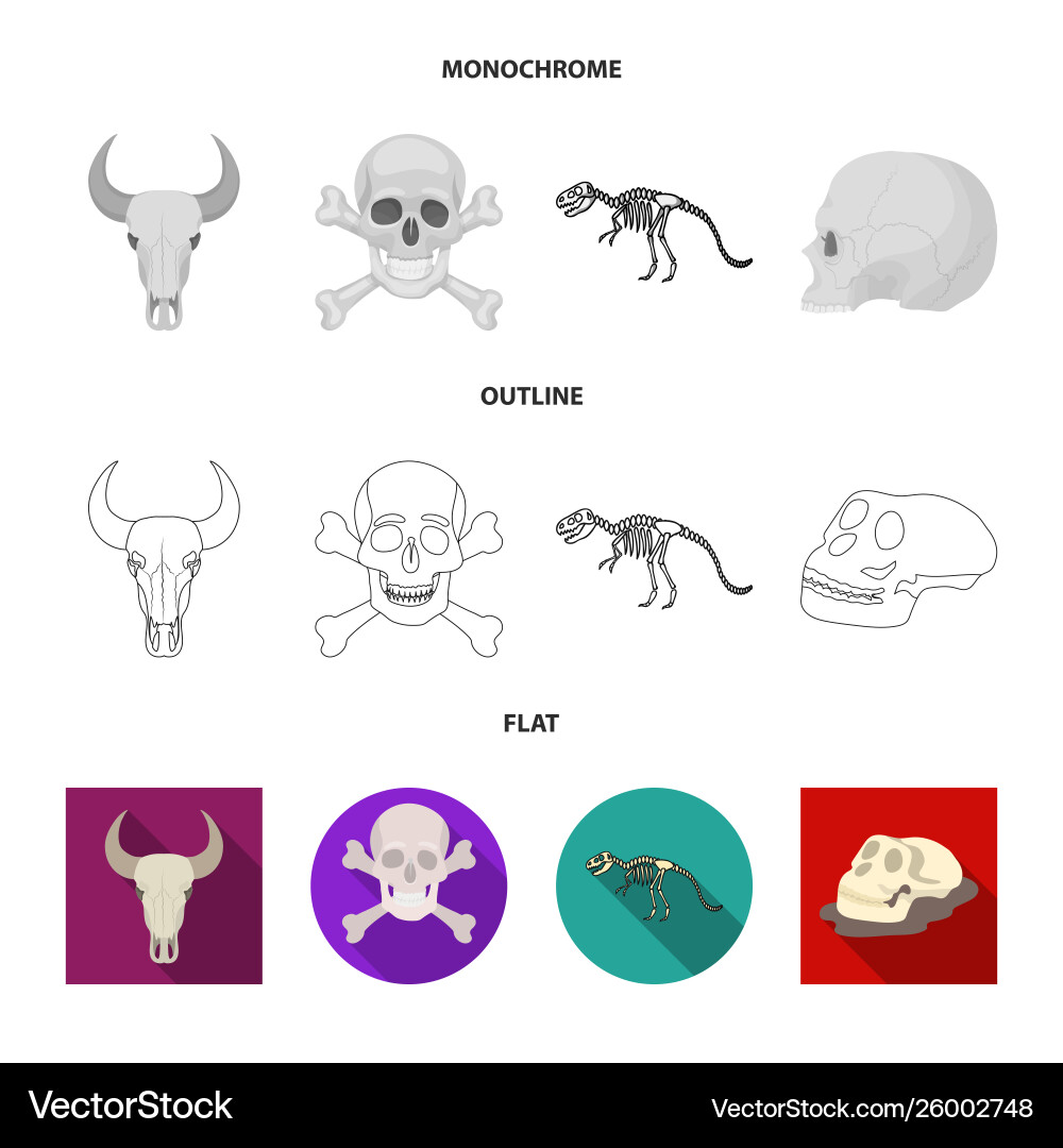 Isolated object skeleton and character symbol Vector Image