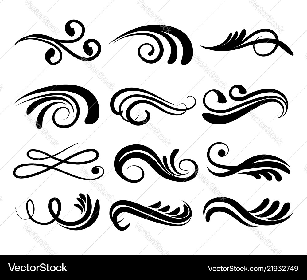 Swirl & Curl Decorative Patterns vector image