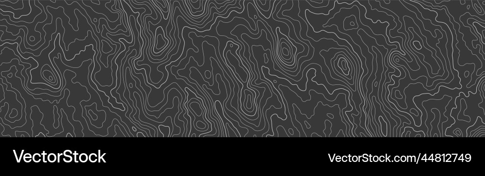 Topographic map patterns topography line Topographic map patterns topography line vector image