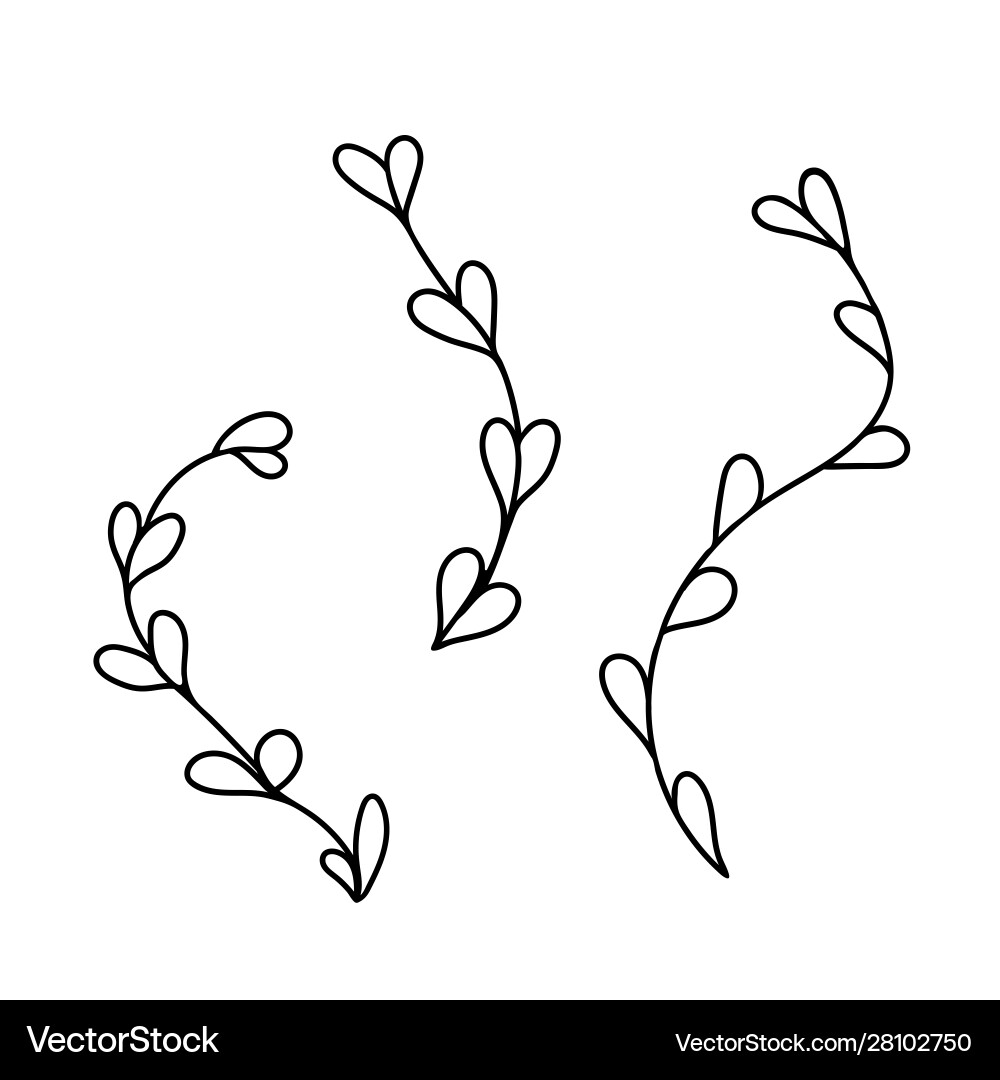 Flowers linear pattern outline simple vector image