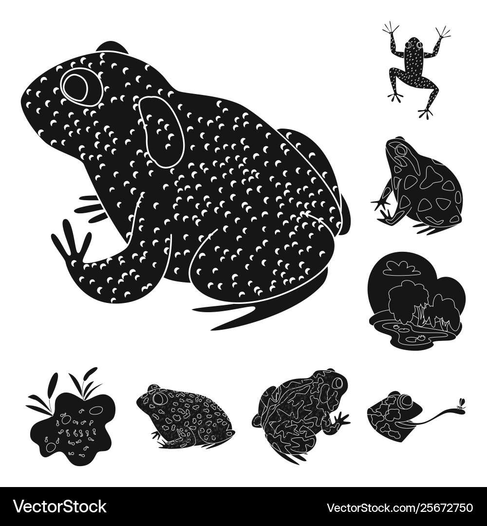 Isolated object fauna and reptile sign set Vector Image