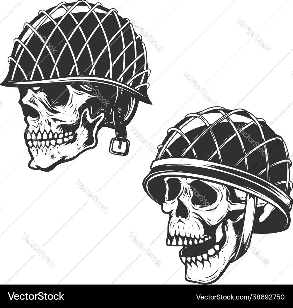 Military Skull in Helmet vector image