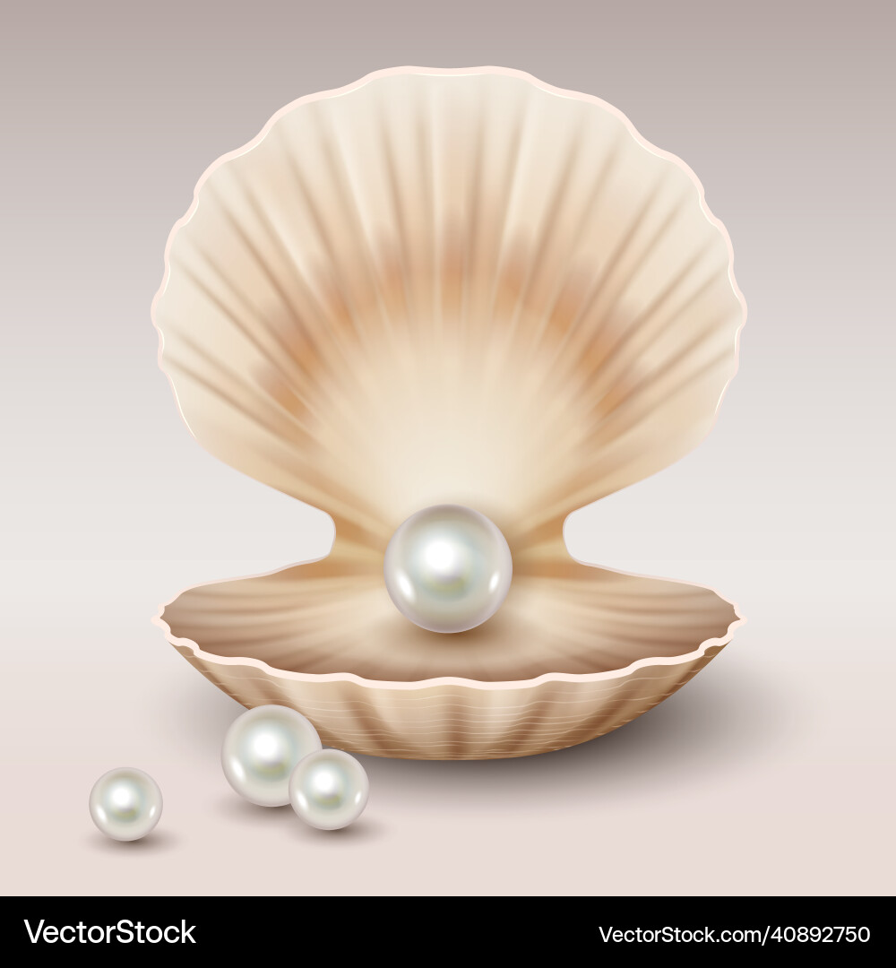Realistic open shell with shining pearls inside Realistic open shell with shining pearls inside vector image