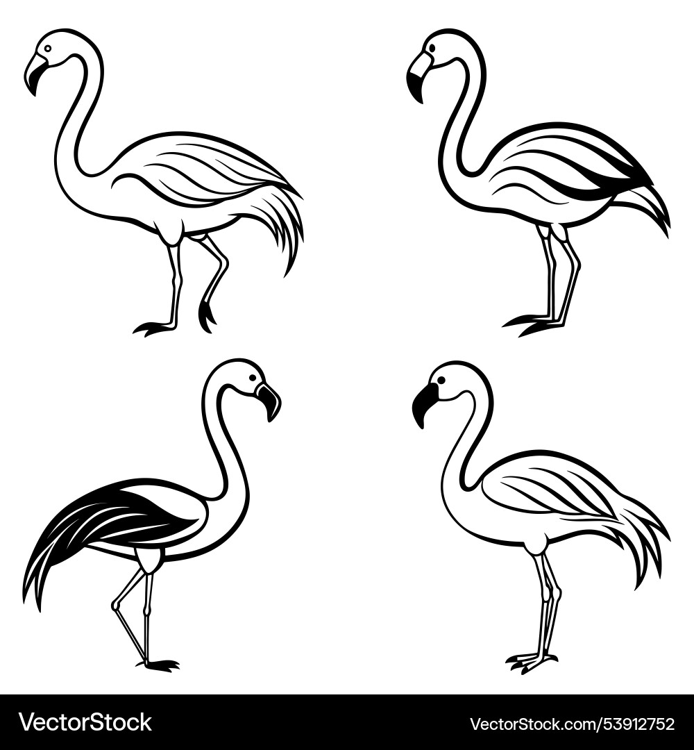 3d rendering of dynamic flamingo silhouette line Vector Image