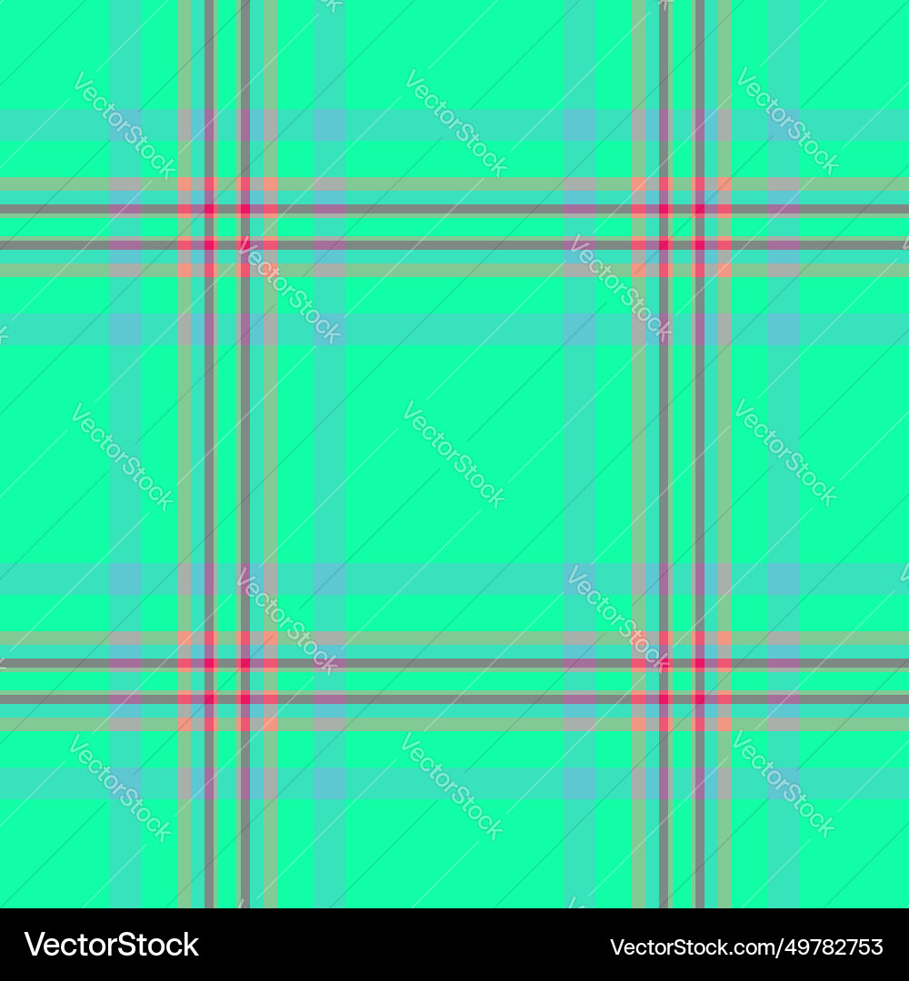 Installing texture pattern background india plaid Installing texture pattern background india plaid vector image