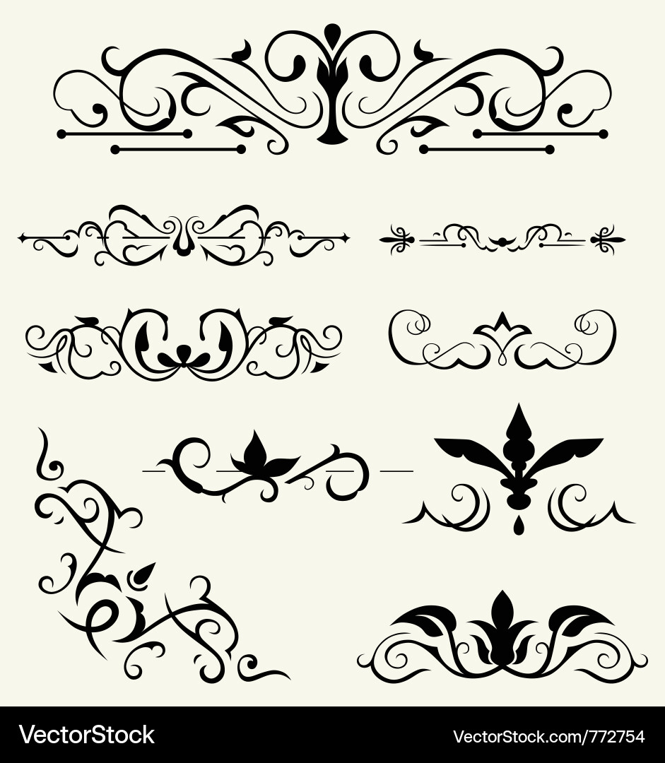Calligraphic Elements & Ornaments vector image