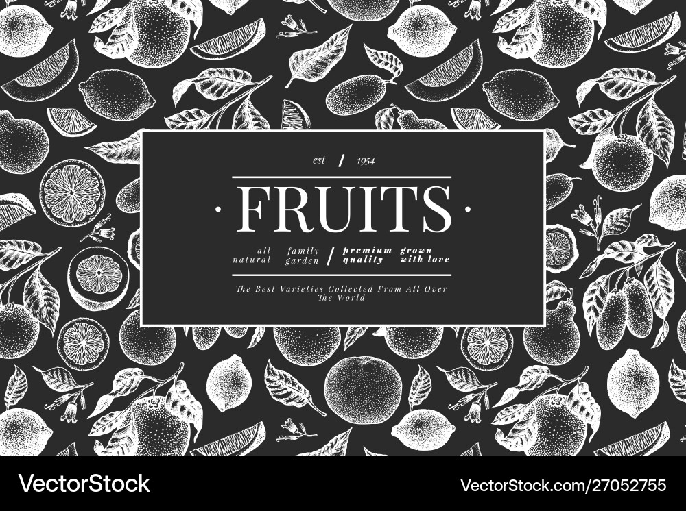 Citrus design template hand drawn fruit on chalk Citrus design template hand drawn fruit on chalk vector image