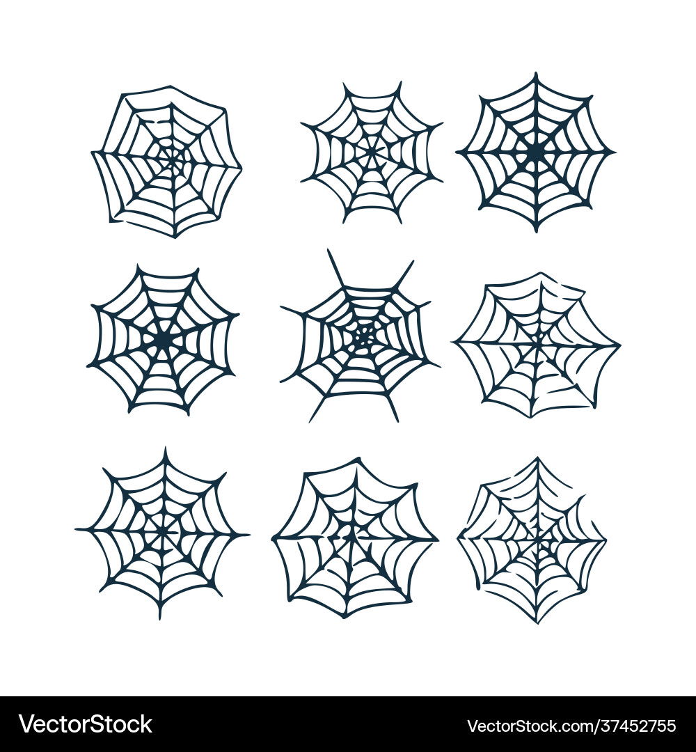 Spiderweb set different type cobweb on white Spiderweb set different type cobweb on white vector image