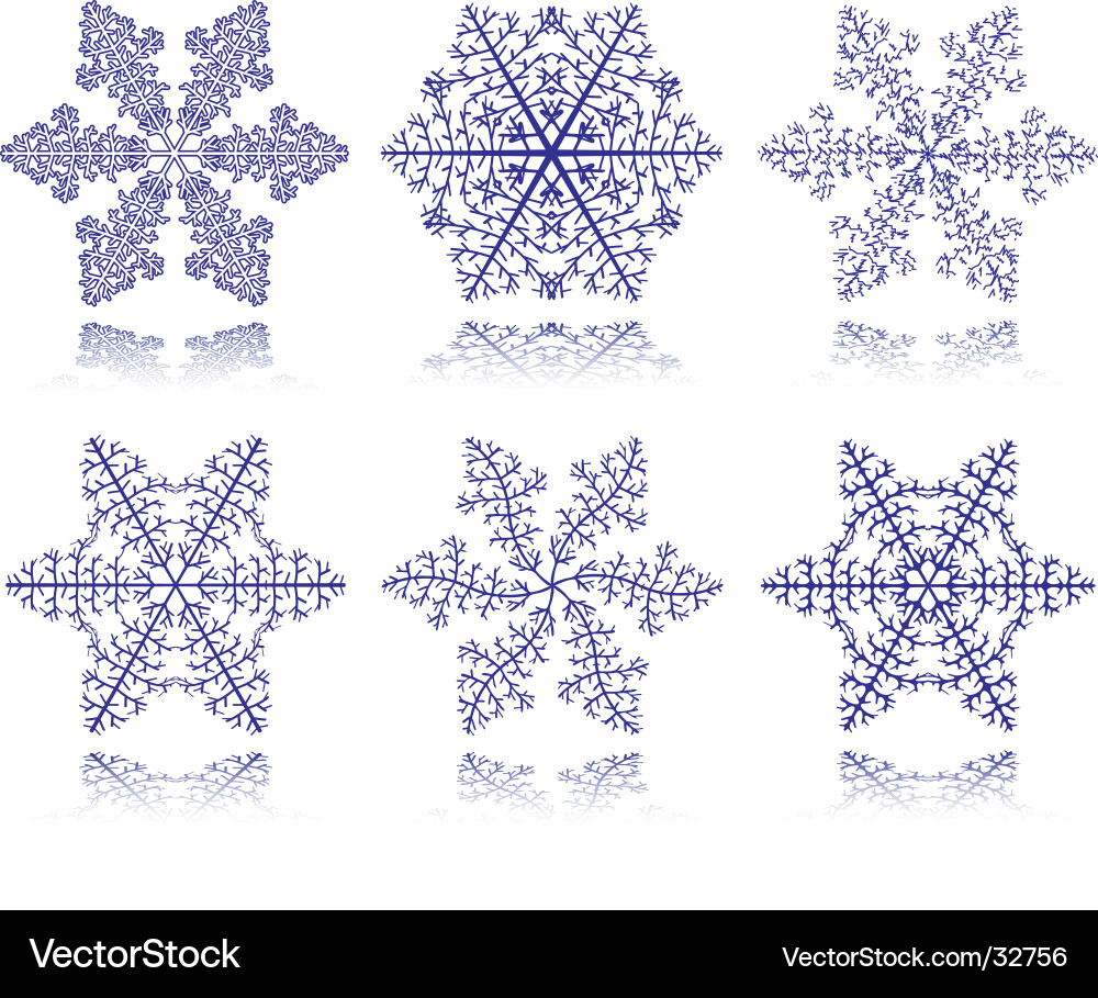 Winter Snowflake Patterns vector image