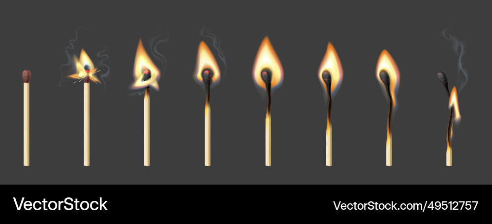 Burning match animation stages sequence frame Burning match animation stages sequence frame vector image