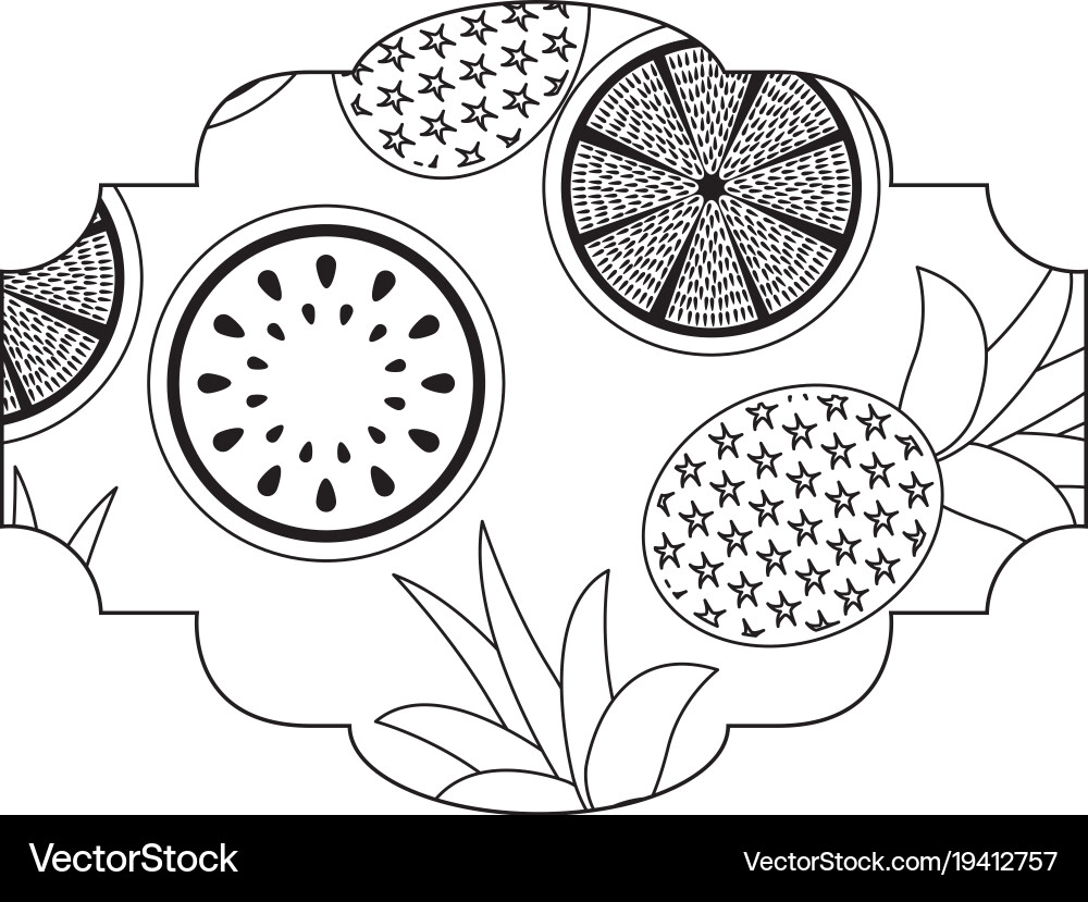 Frame with fruits pattern Vector Image