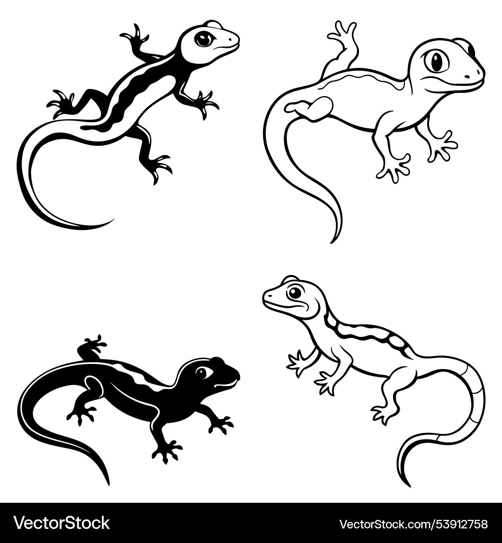 3d rendering of dynamic gecko silhouette line art Vector Image