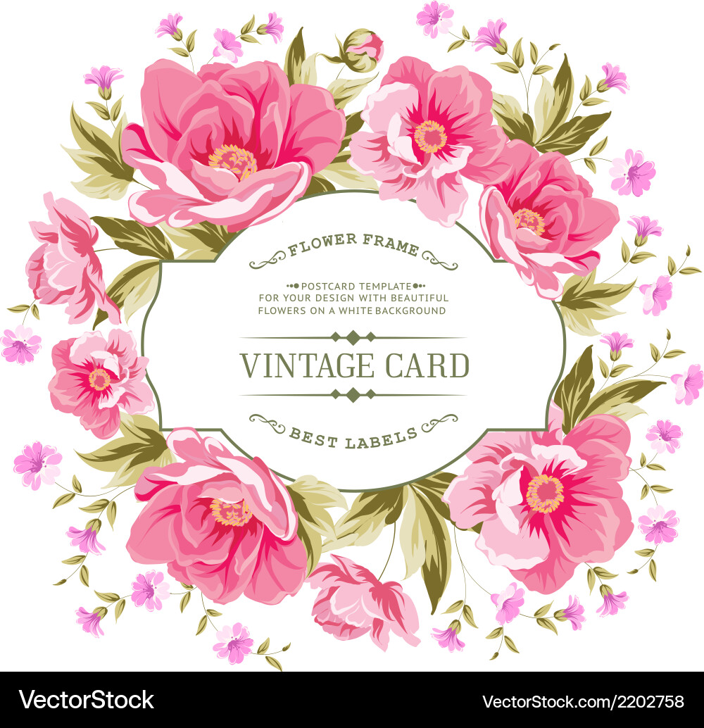 Floral Peony Card Pattern Vector Image