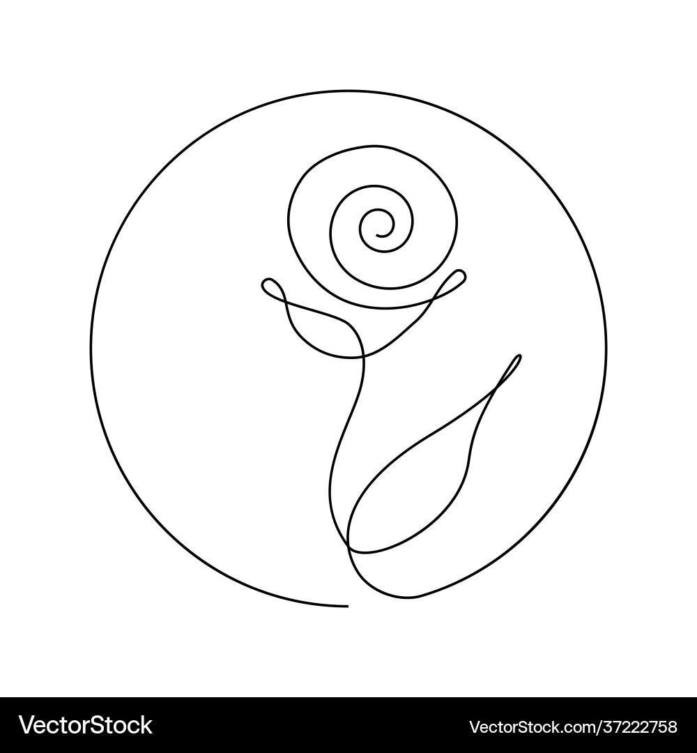 Web Web vector image