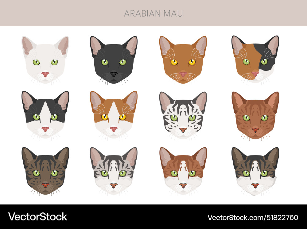 Arabisch mau cat clipart alle Mantelfarben set Arabisch mau cat clipart alle Mantelfarben set vektorbild