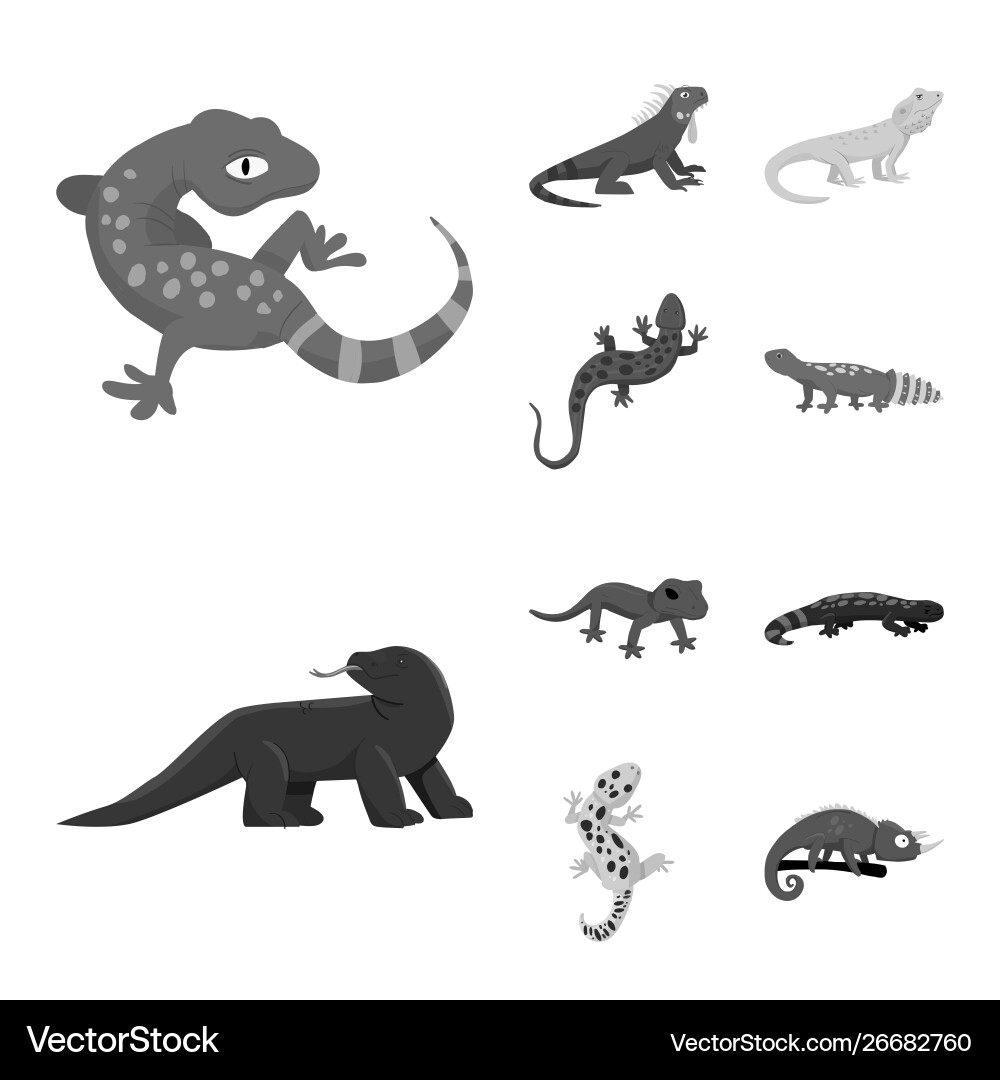 Isolated object wild and exotic sign Isolated object wild and exotic sign vector image