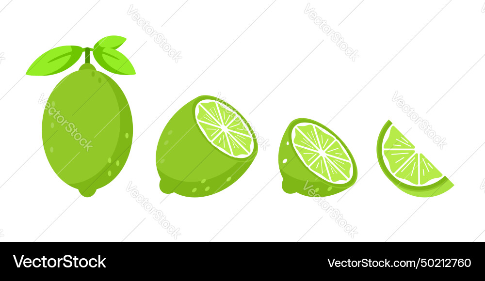 Set mit ganzen und geschnittenen Limettenfrüchten Set mit ganzen und geschnittenen Limettenfrüchten vektorbild