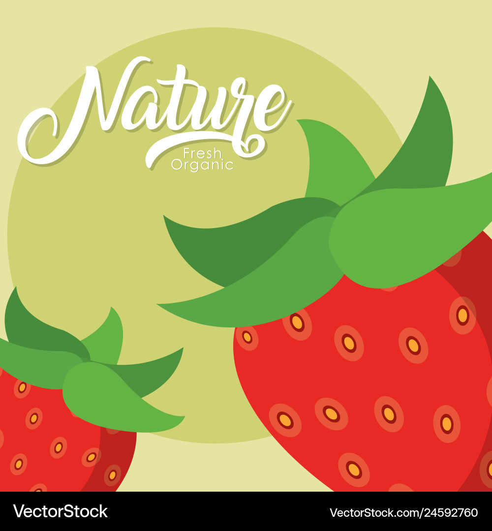 Strawberries nature fruit Royalty Free Vector Image
