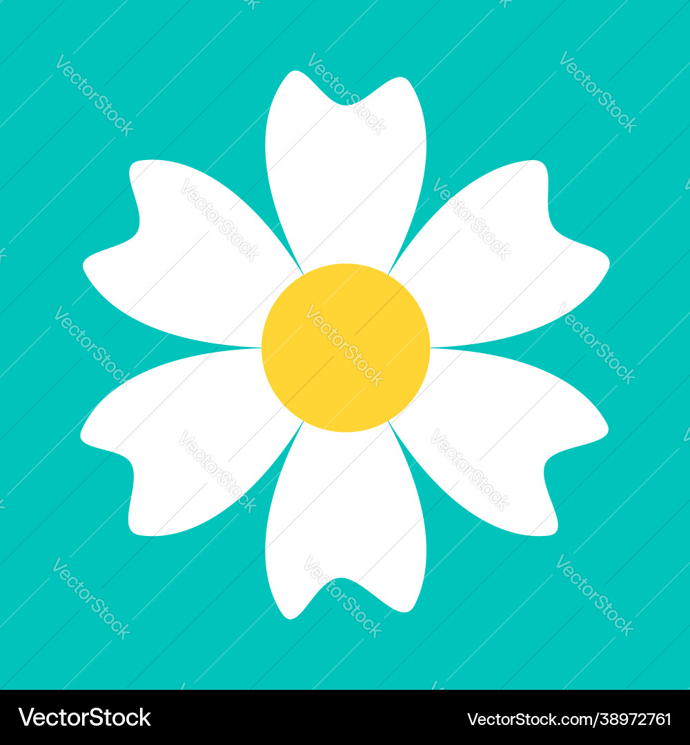 Chamomile daisy round icon white flower camomile Chamomile daisy round icon white flower camomile vector image