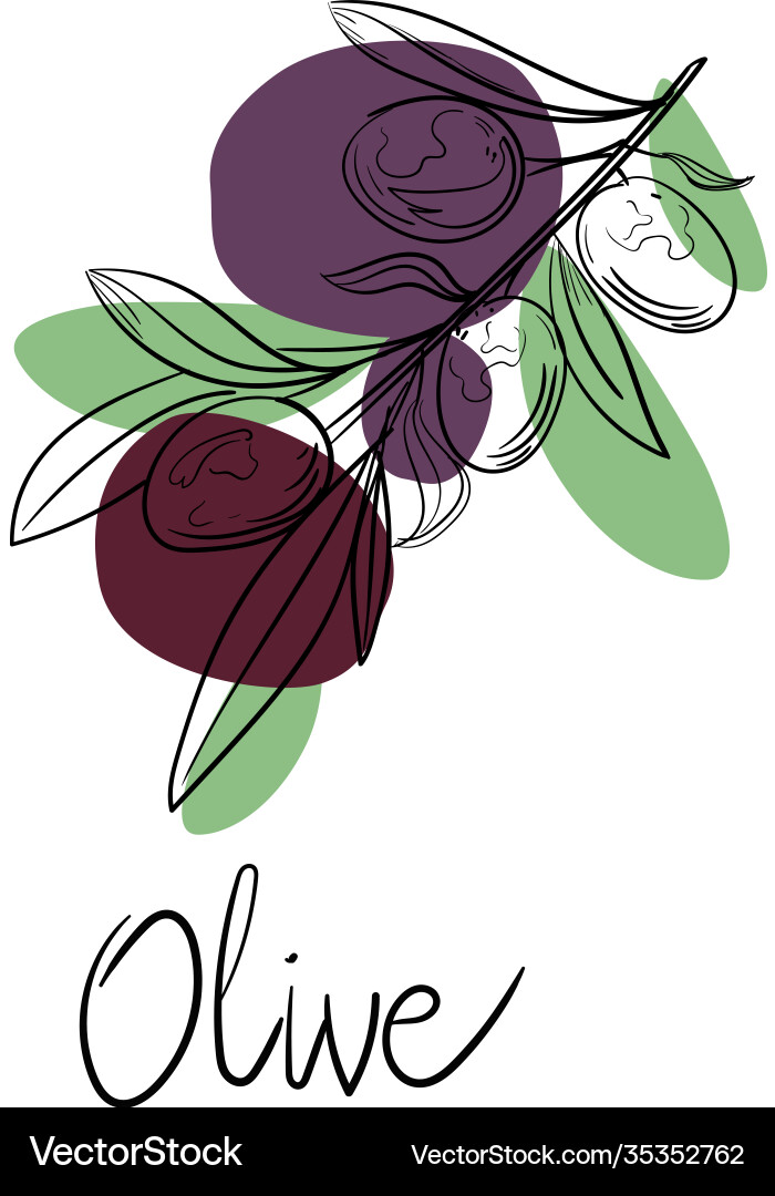 Outline Hand gezeichnete Oliven auf Zweig mit bunten Outline Hand gezeichnete Oliven auf Zweig mit bunten vektorbild