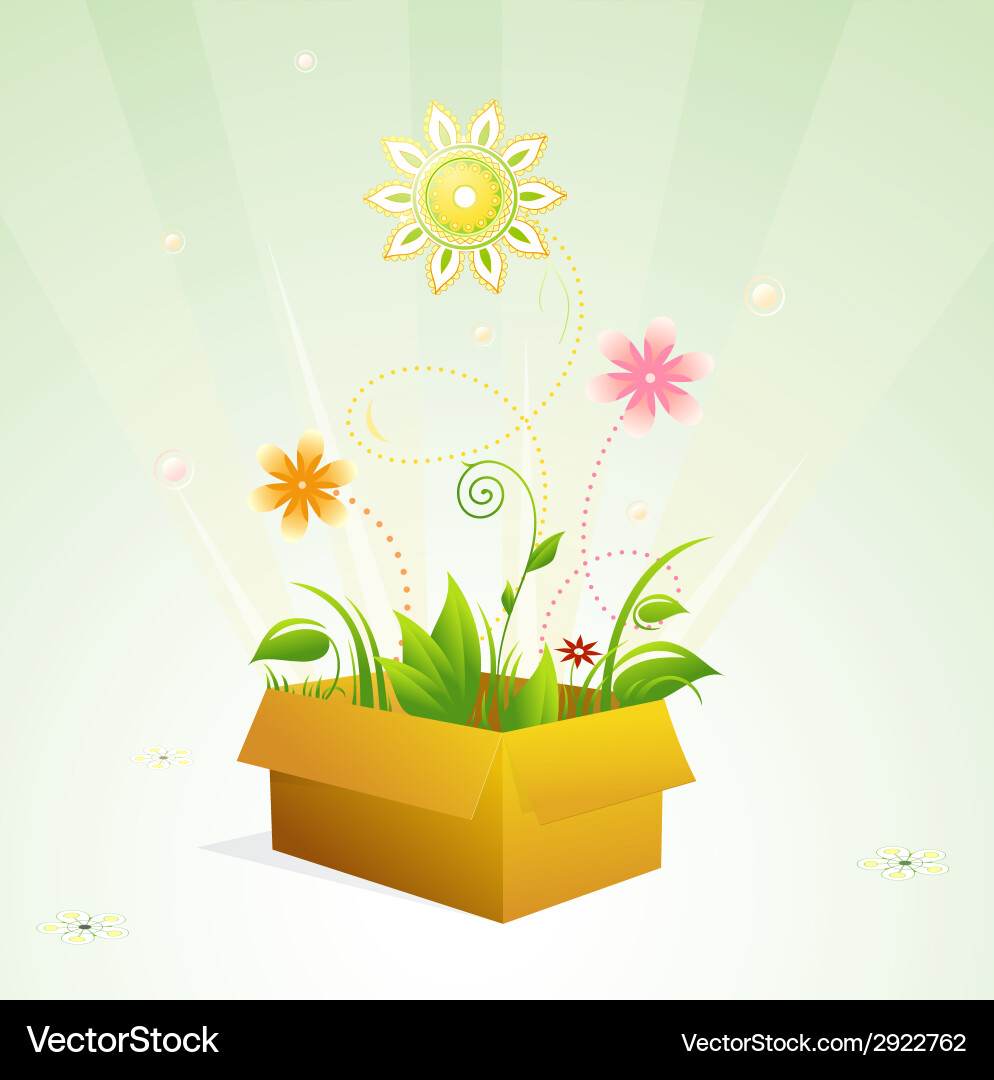 Spring in the box vector image